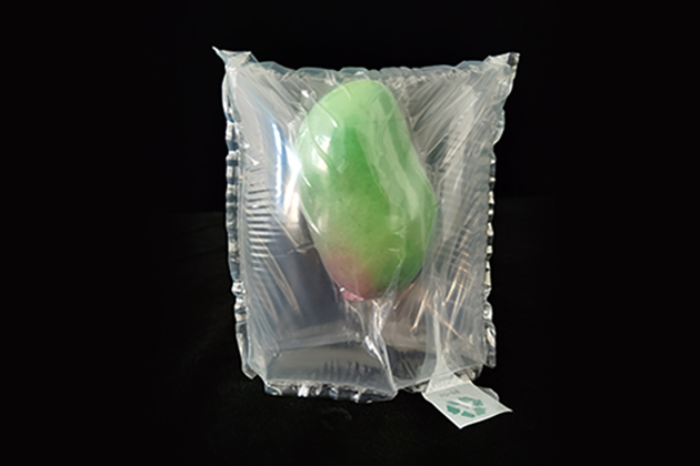 好色视频在线观看 袋中袋